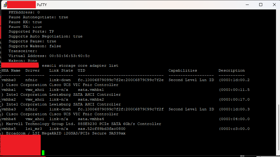 3 [VMware] Verificare Versione dei Driver e Firmware su ESXi