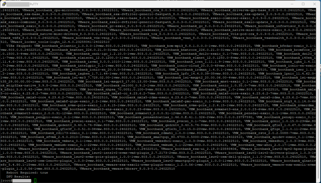 Screenshot-2025-03-12-161920-1024x584 [VMware] Guida all'Aggiornamento di ESXi senza vCenter