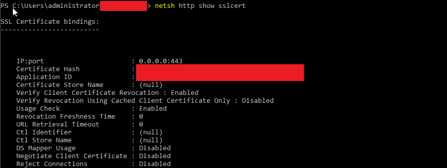 Screenshot-2025-06-11-115648 [Microsoft] Come risolvere l'errore: "We were unable to create the certificate binding” in SSRS durante il cambio certificato